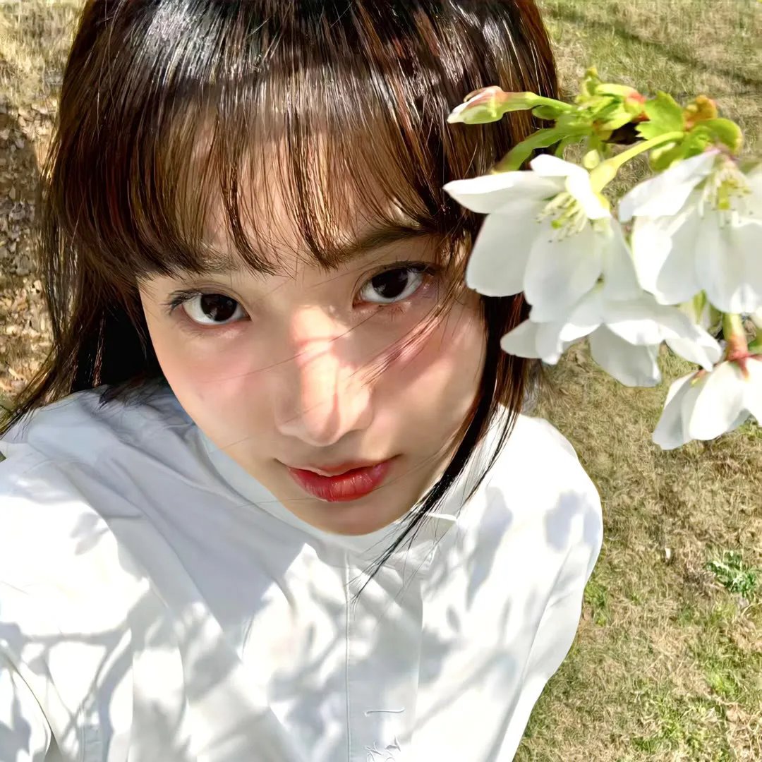 永不妥协海报