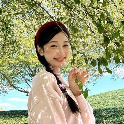 丢羊海报