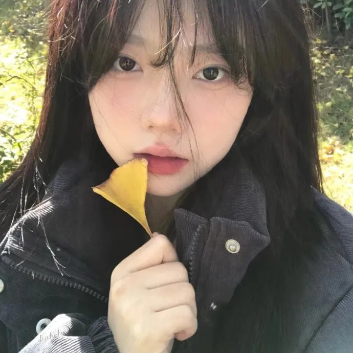 堕落天使的回忆录海报